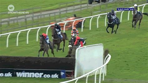 horse racing gif funny|Horse Racing GIFs .